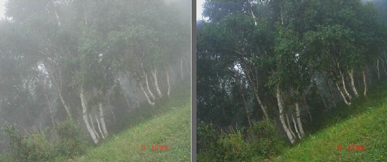 视频图像侦查-去雾