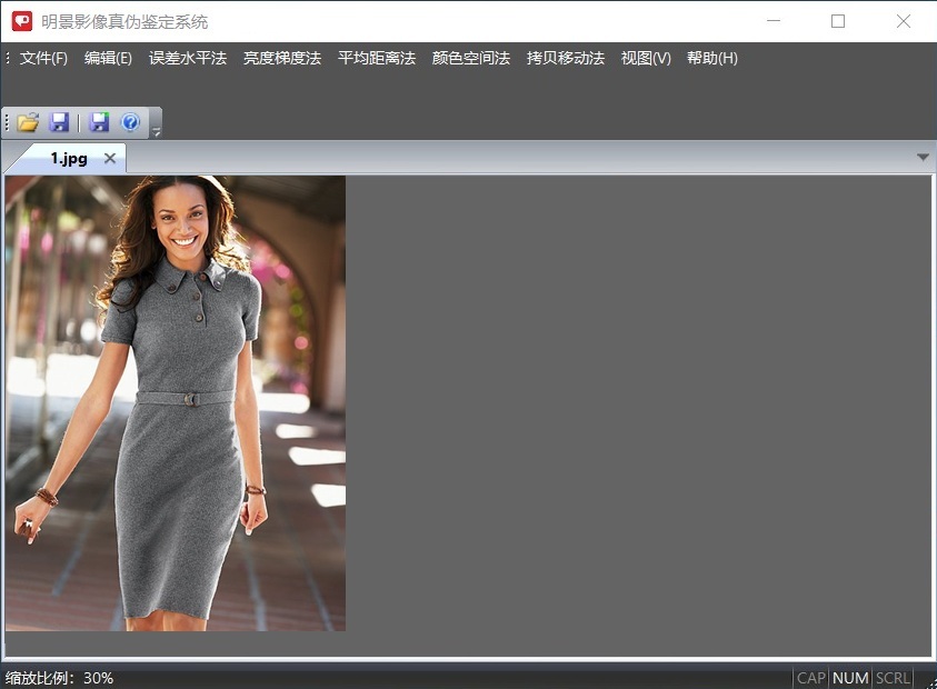 亚洲必赢影像真伪判断系统